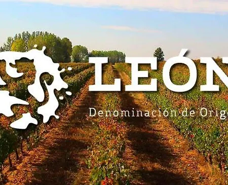 Valencia de Don Juan Apartamento Valencia de Don Juan