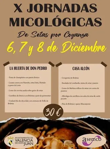 Valencia De Don Juan